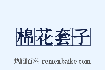 棉花套子是什么意思的图片
